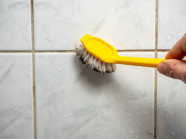 Best Water Damage Restoration  in Walkerton, IN