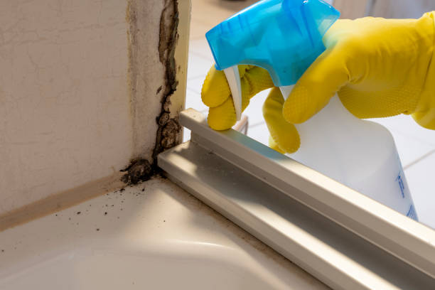 Water Damage Restoration in Walkerton, IN
