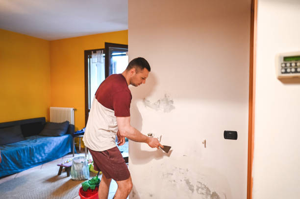 Best Attic Mold Removal  in Walkerton, IN